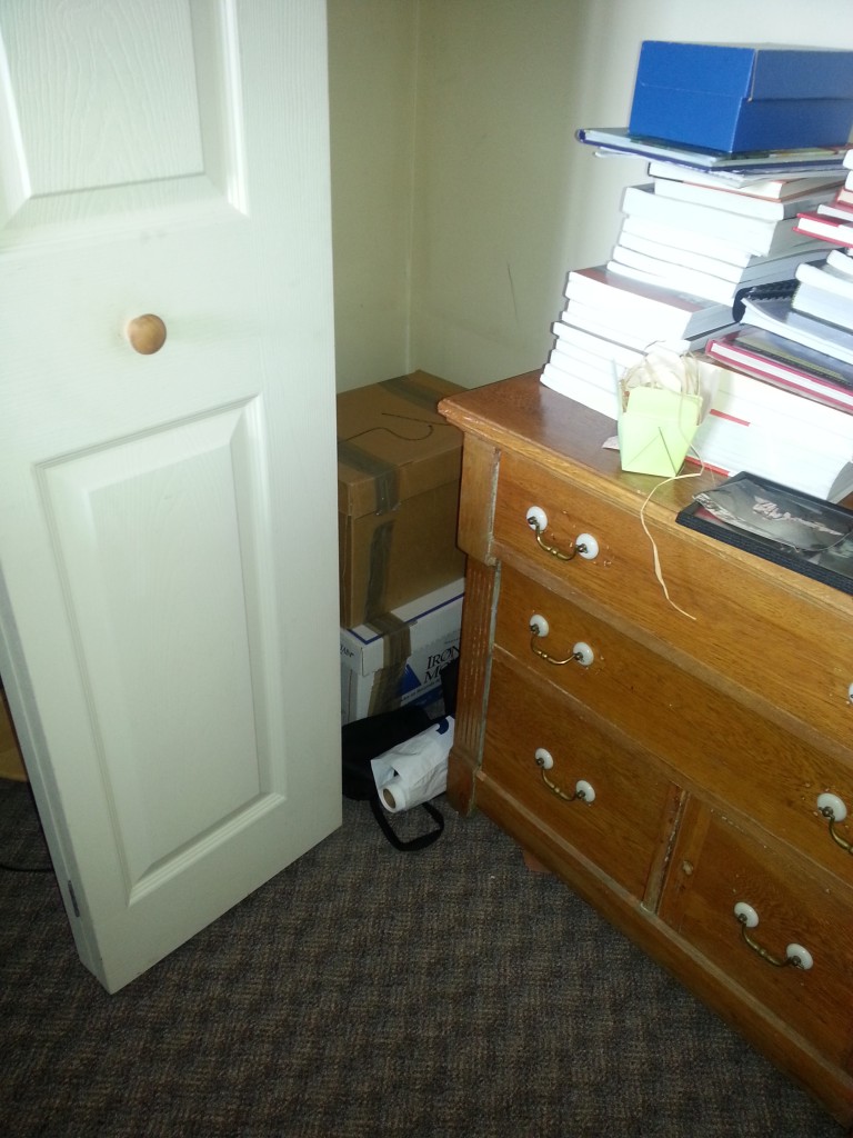 The horror!  Bankers boxes stowed in the back corner of the closet.  This is how I "processed" them last Fall when I challenged myself to get rid of them.  The dresser is empty, btw.  